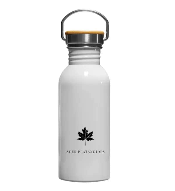 Spitzahornblatt - Edelstahl Trinkflasche