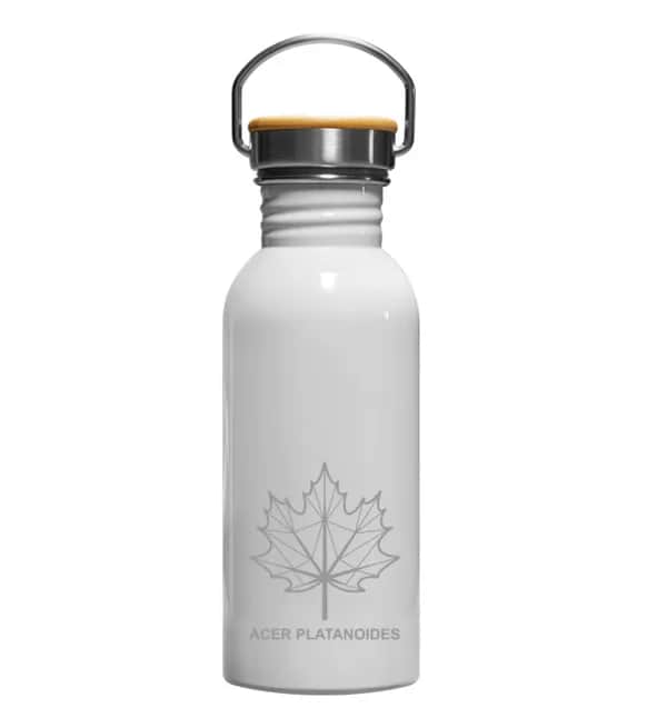 Spitzahornblatt Linien - Edelstahl Trinkflasche